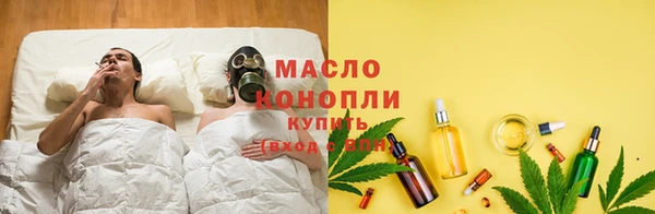 дмт Богданович