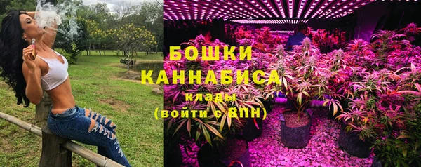 дмт Богданович